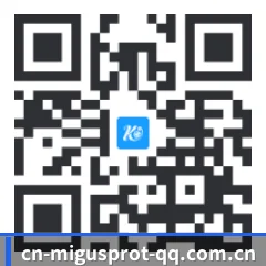 苹果版 iOS 二维码