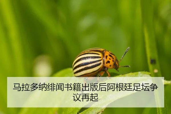 img_1791605893114_342_1_922.jpg